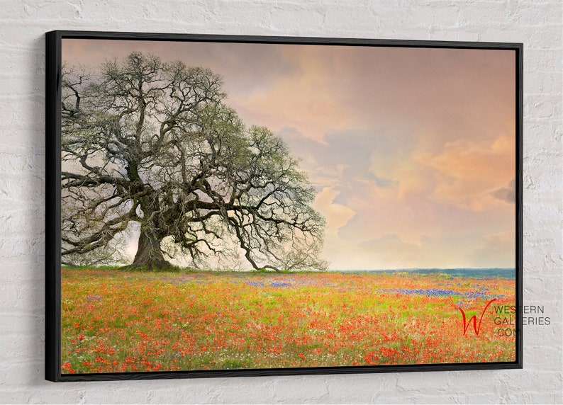 Op de afbeelding: Een eenzame boom met uitgestrekte takken staat in een veld vol wilde bloemen. De bloemen zijn een mix van rood, roze en paars, en de lucht is zacht roze en oranje. De afbeelding is ingelijst in een zwart frame.