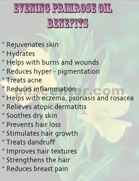 7 Lb 1 Gal EVENING PRIMROSE OIL Unrefined Virgin Organic Etsy