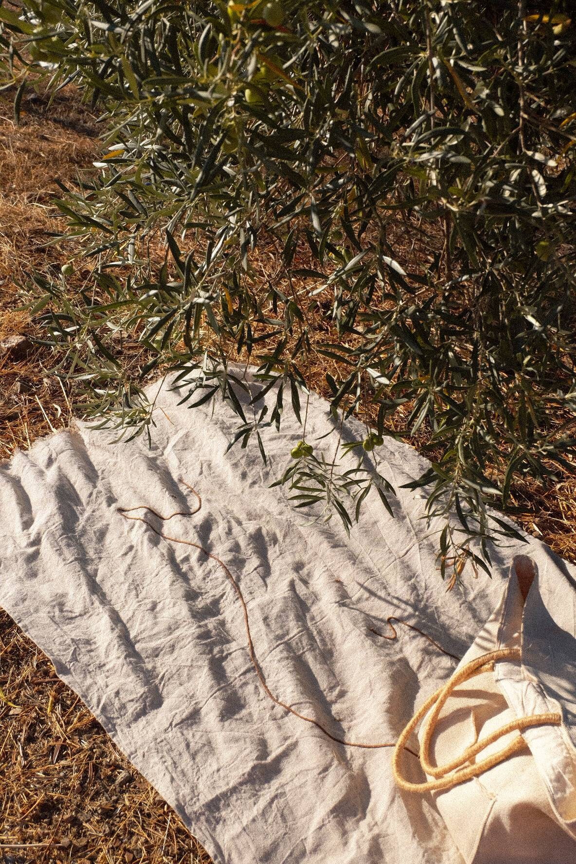 Serviette De plage En