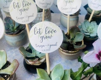 Personalized Succulent Favor Sticks: Let Love Grow Tags