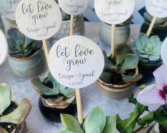 Small Succulent Favor Sticks, 1.5" Let Love Grow Favor Tags, Personalized Plant Favor Sticks, Succulent Tags, Plant Favor Tags