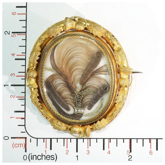 Early Victorian Gold Hair Memorial Brooch Thistle… - image 9
