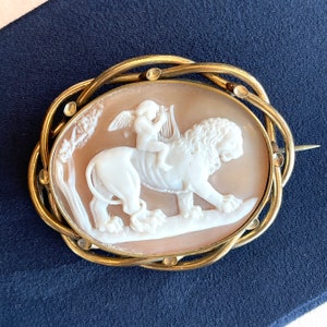 May include: A cameo brooch featuring a carved depiction of a cherub riding a lion, set in a gold-toned metal frame.