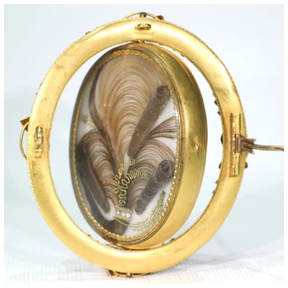 Early Victorian Gold Hair Memorial Brooch Thistle… - image 4