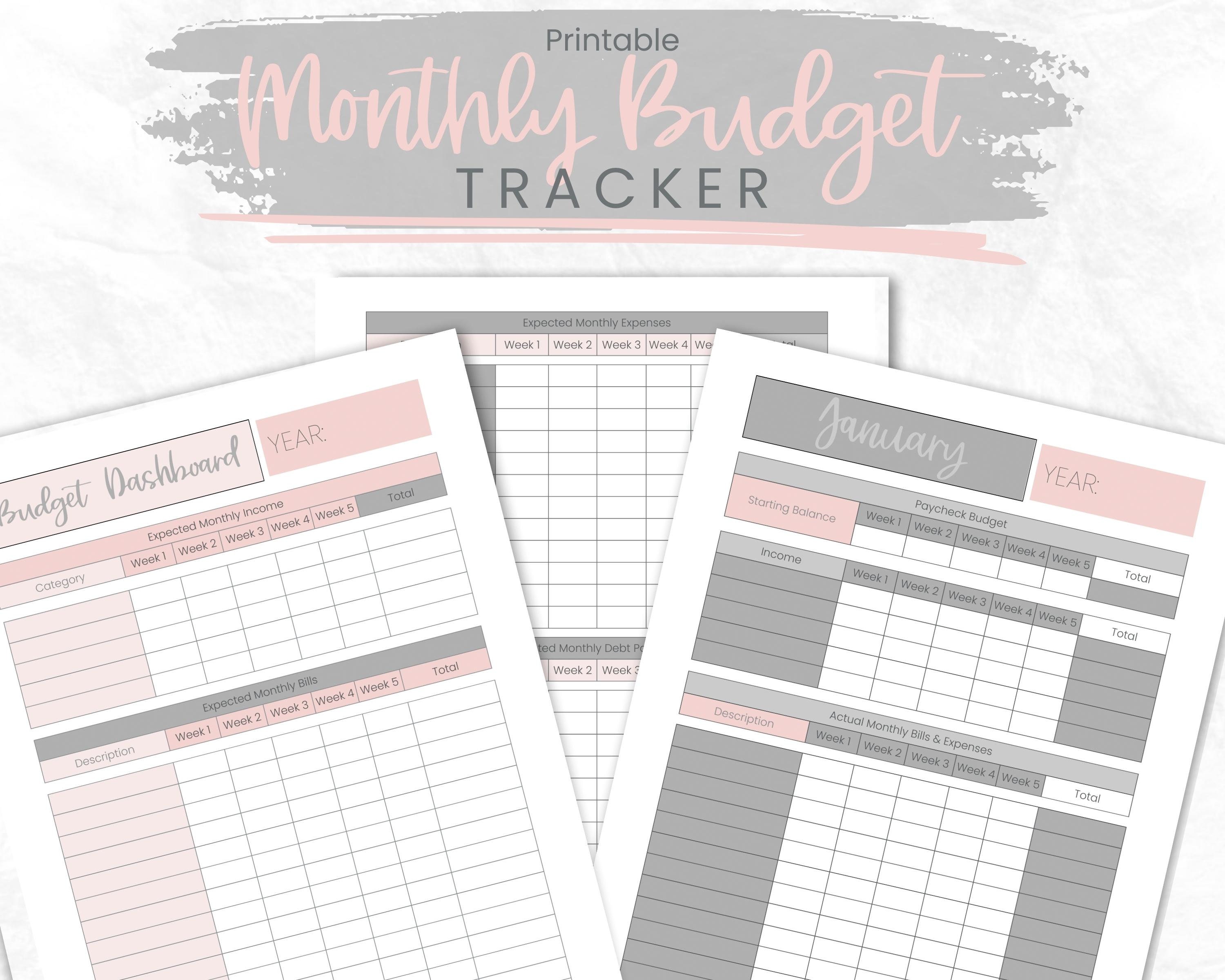 Peachy Monthly Budget Planner, Financial Planning,budget Binder