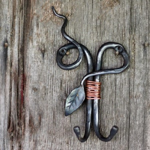 Double Prong Hooks 