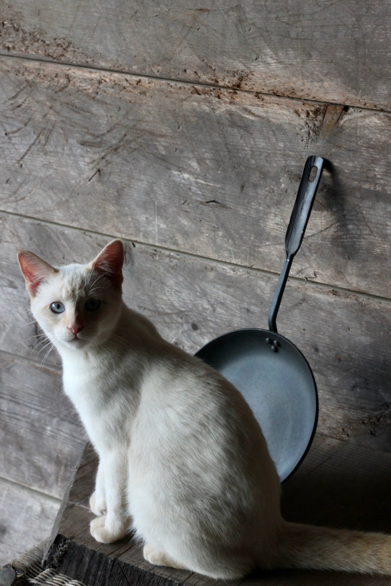 The 9A Pan Carbon Steel Skillet Frying Pan image 4