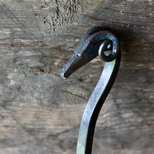 May include: A close-up of a metal hook shaped like a bird's head. The hook is made of dark metal and has a smooth, polished finish. The hook is attached to a wooden surface.