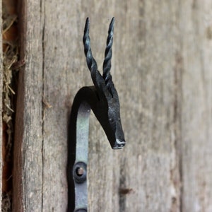 Animal Hooks Hand Forged Blacksmith Ram Bull Longhorn Unicorn Gazelle Antelope afbeelding 6