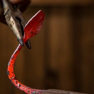May include: A pair of pliers holds a red-hot metal leaf, which is being shaped into a curved form.