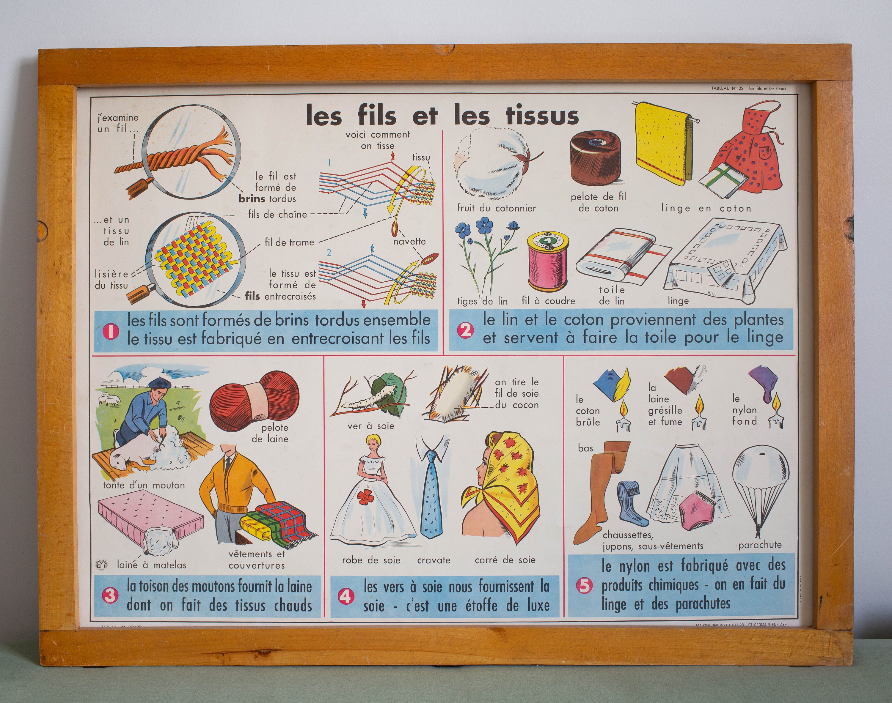 Vintage - Affiche Scolaire Double Face d'école Française Des Années 1950/1960 La Main Peau Les Fils 