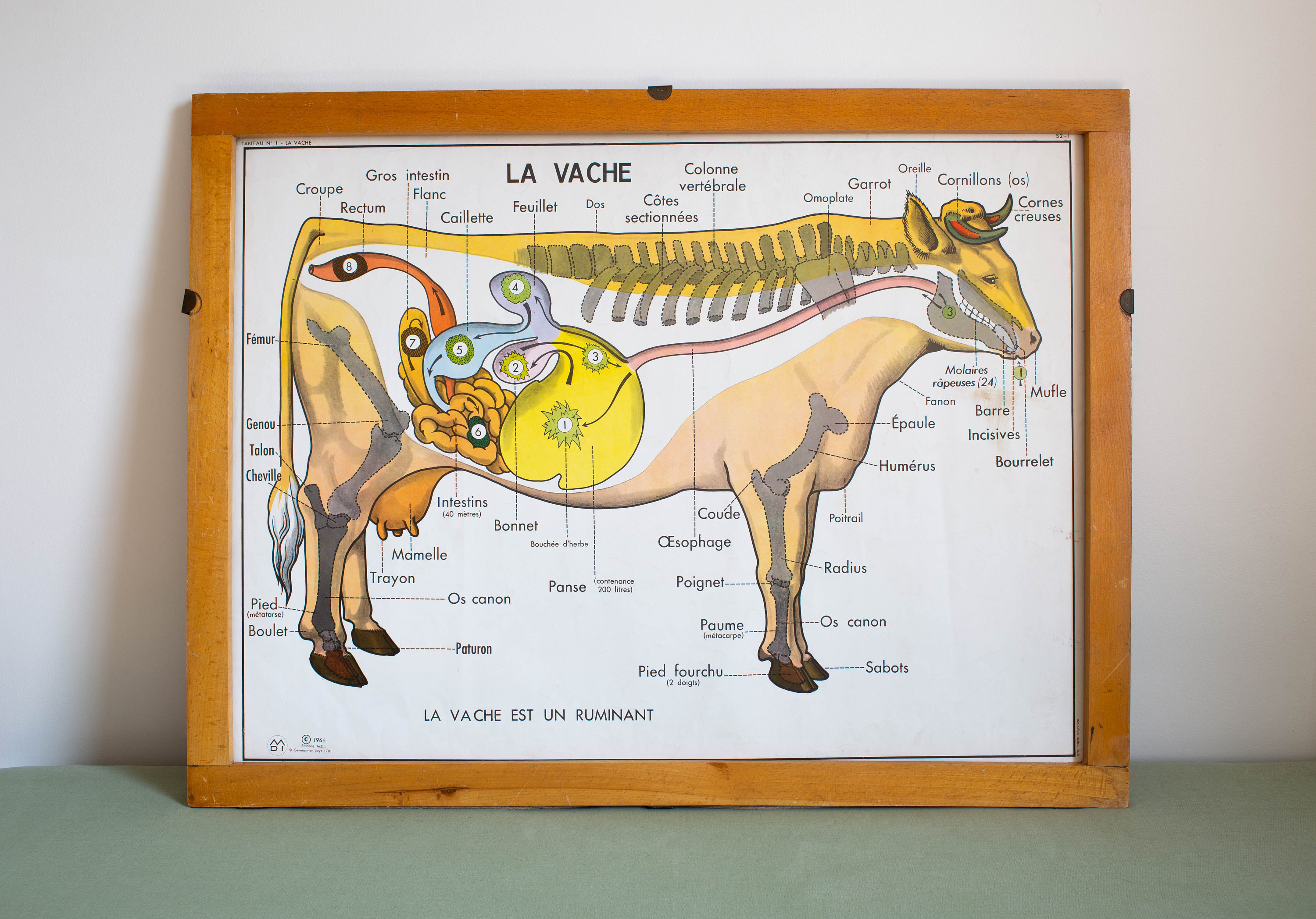 Vintage - Affiche Scolaire Double Face d'école Française 1966 La Vache Le Cheval à La Ferme