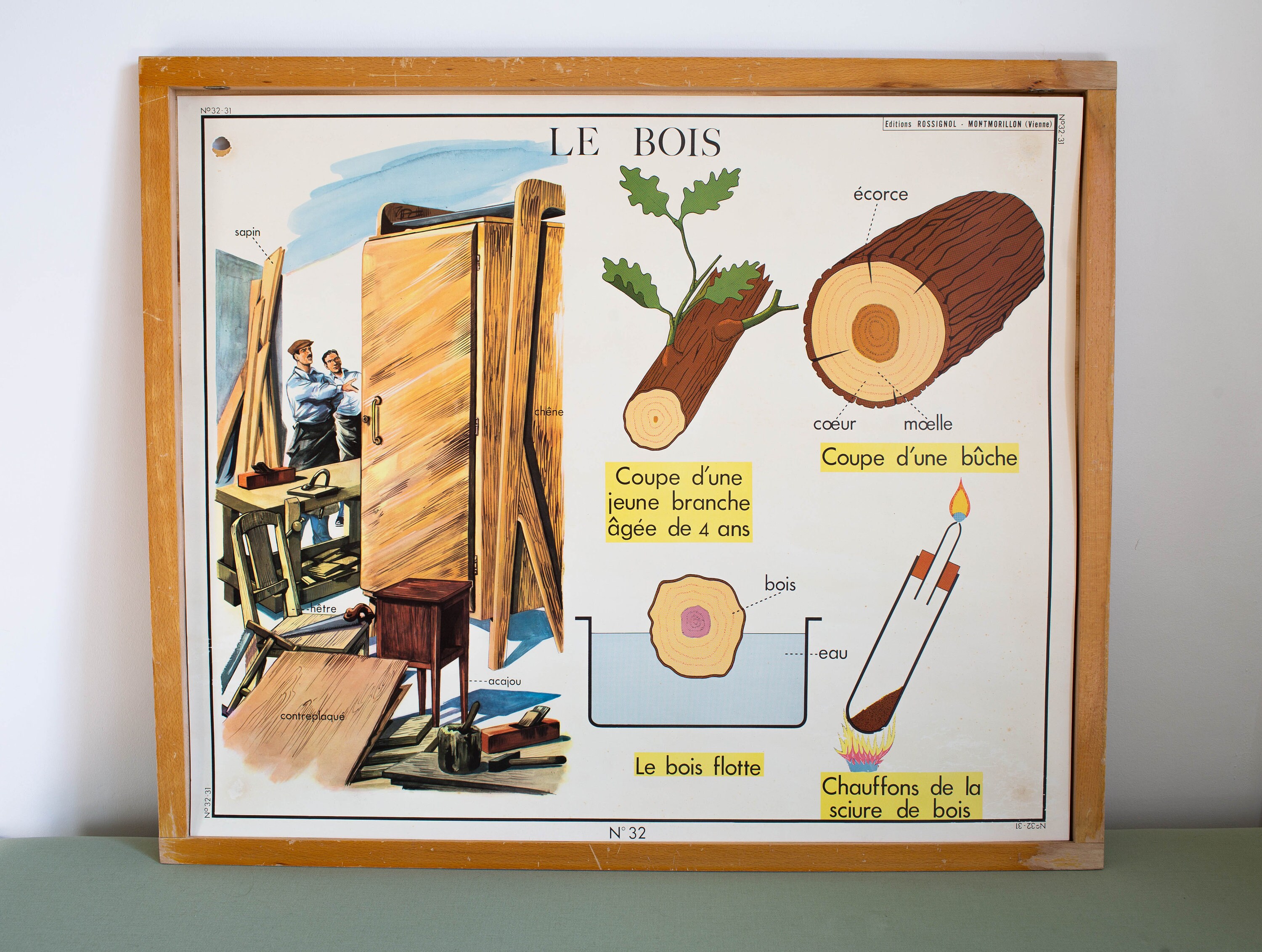 Vintage - Affiche Scolaire Double Face d'école Française 1960. Le Bois L'essence