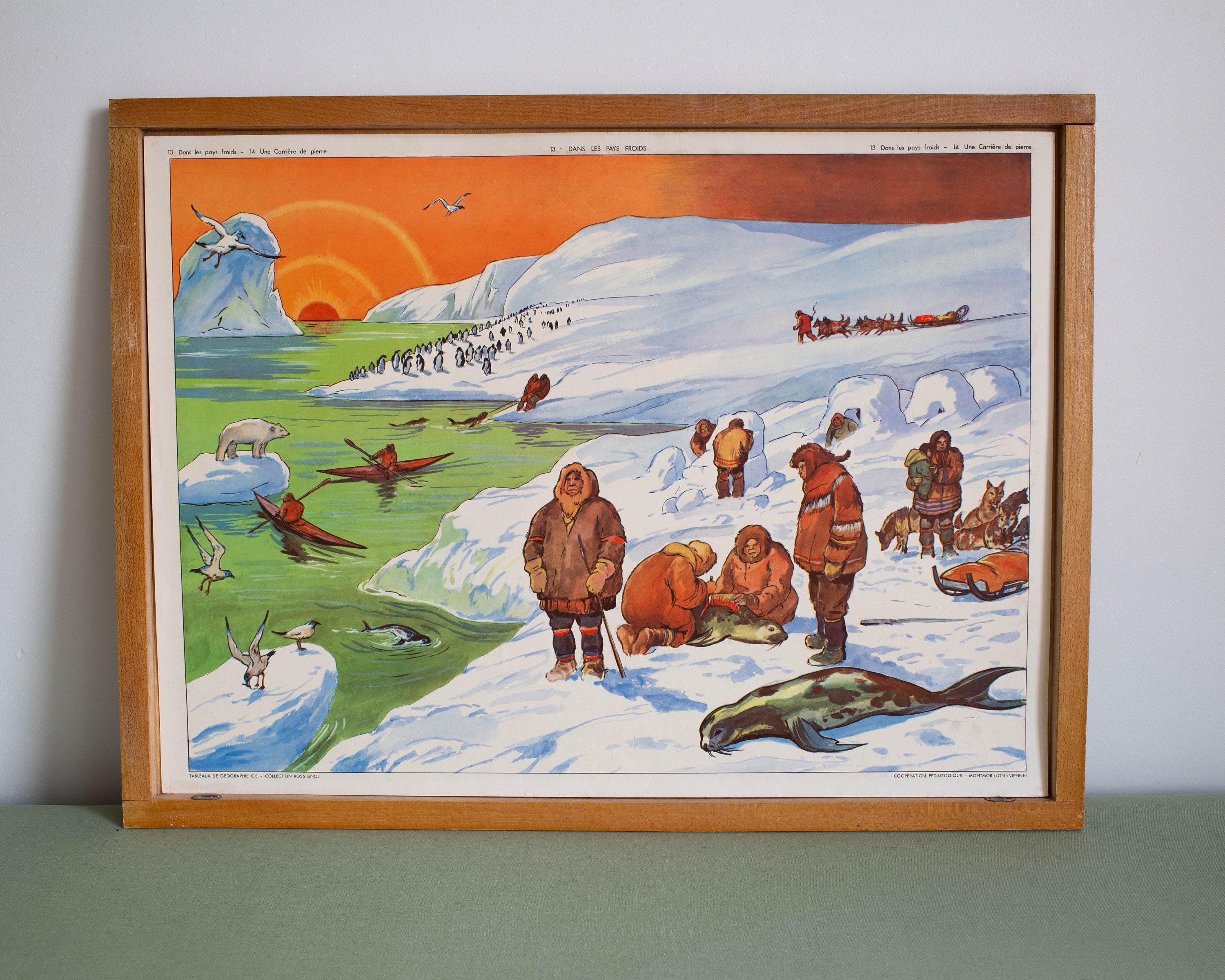 Vintage - Affiche Scolaire Rossignol Double Face Des Années 1950 École Française Dans Les Pays Froid