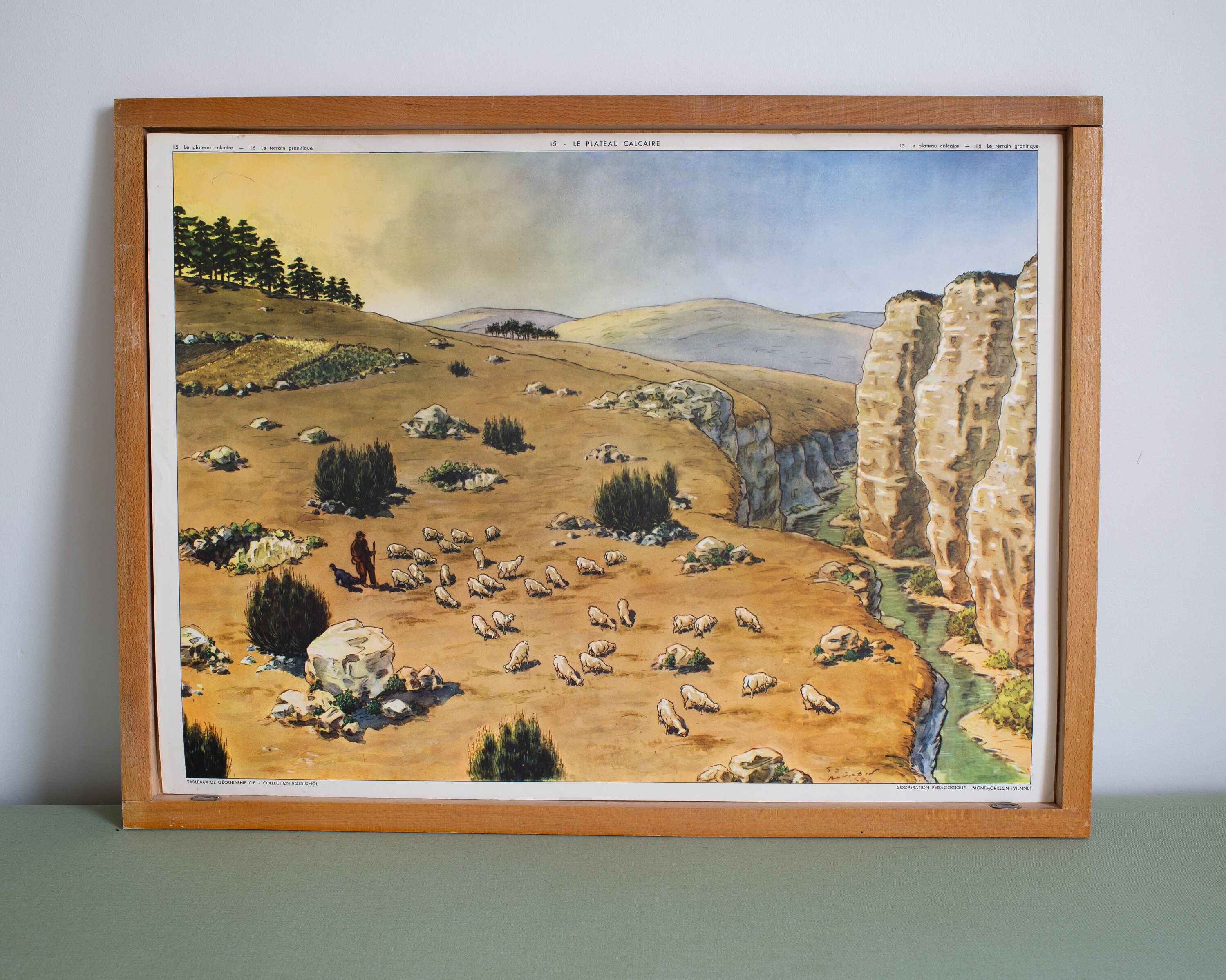 Vintage - Affiche Scolaire Rossignol Double Face Des Années 1950-60 École Française Le Plateau Calca