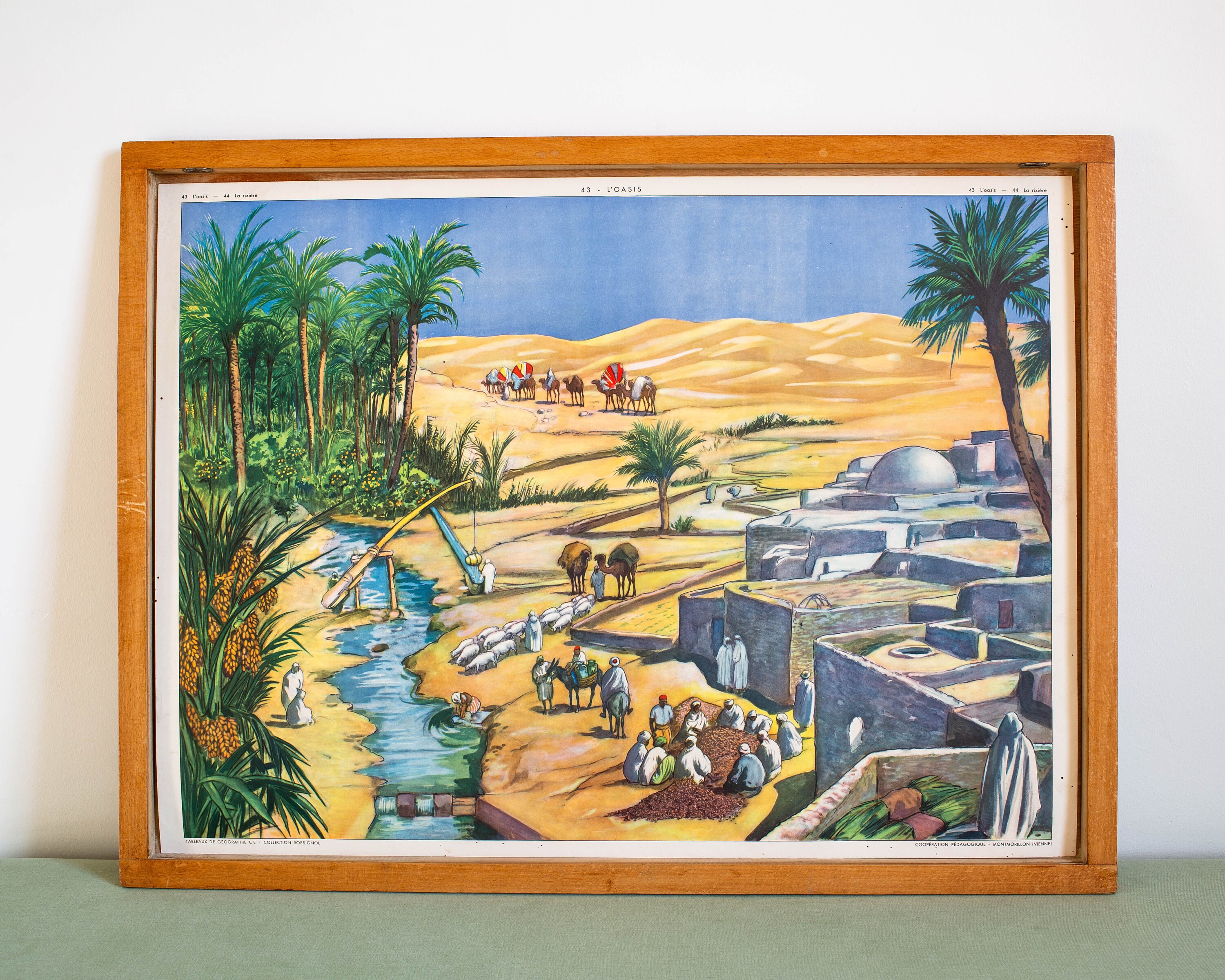 Vintage - Affiche Scolaire Rossignol Double Face Des Années 1950-60 École Française L'oasis La Riziè