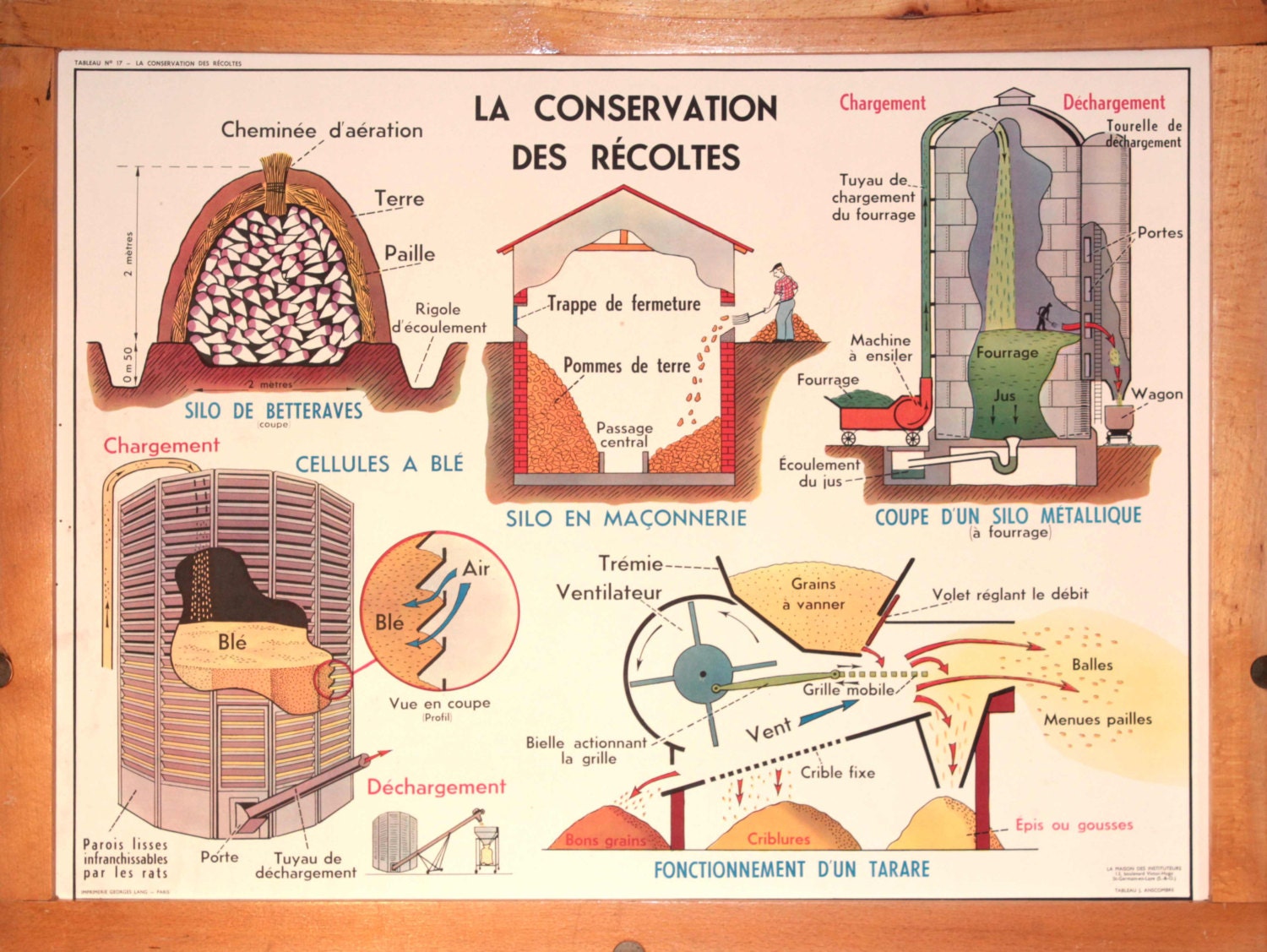Vintage - Affiche Scolaire Double Face d'école Des Années1960 La Conservation Récoltes Préparation A