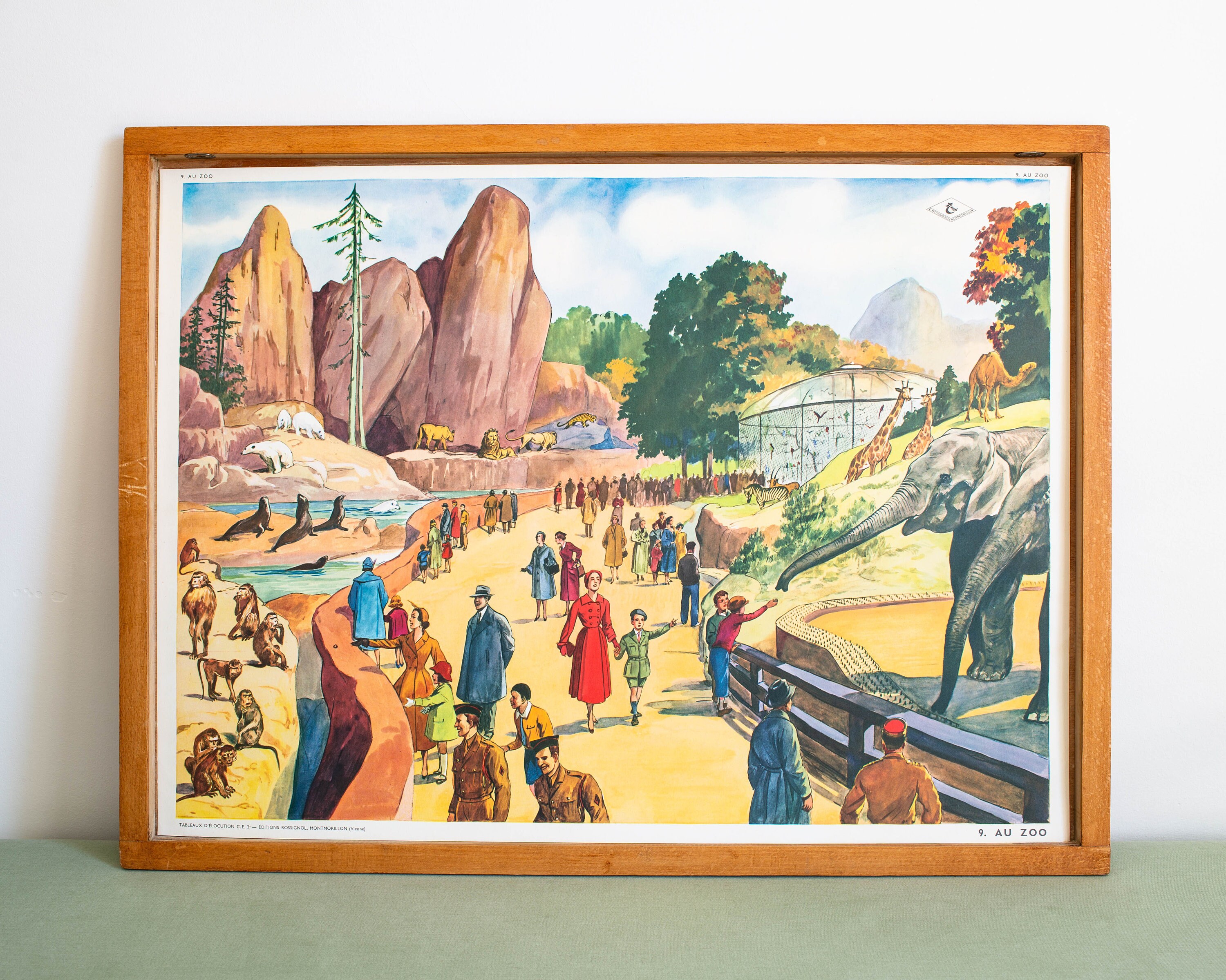 Le Stade - Le Zoo Vintage Affiche Scolaire Double Face Des Années 1950-60 École Française