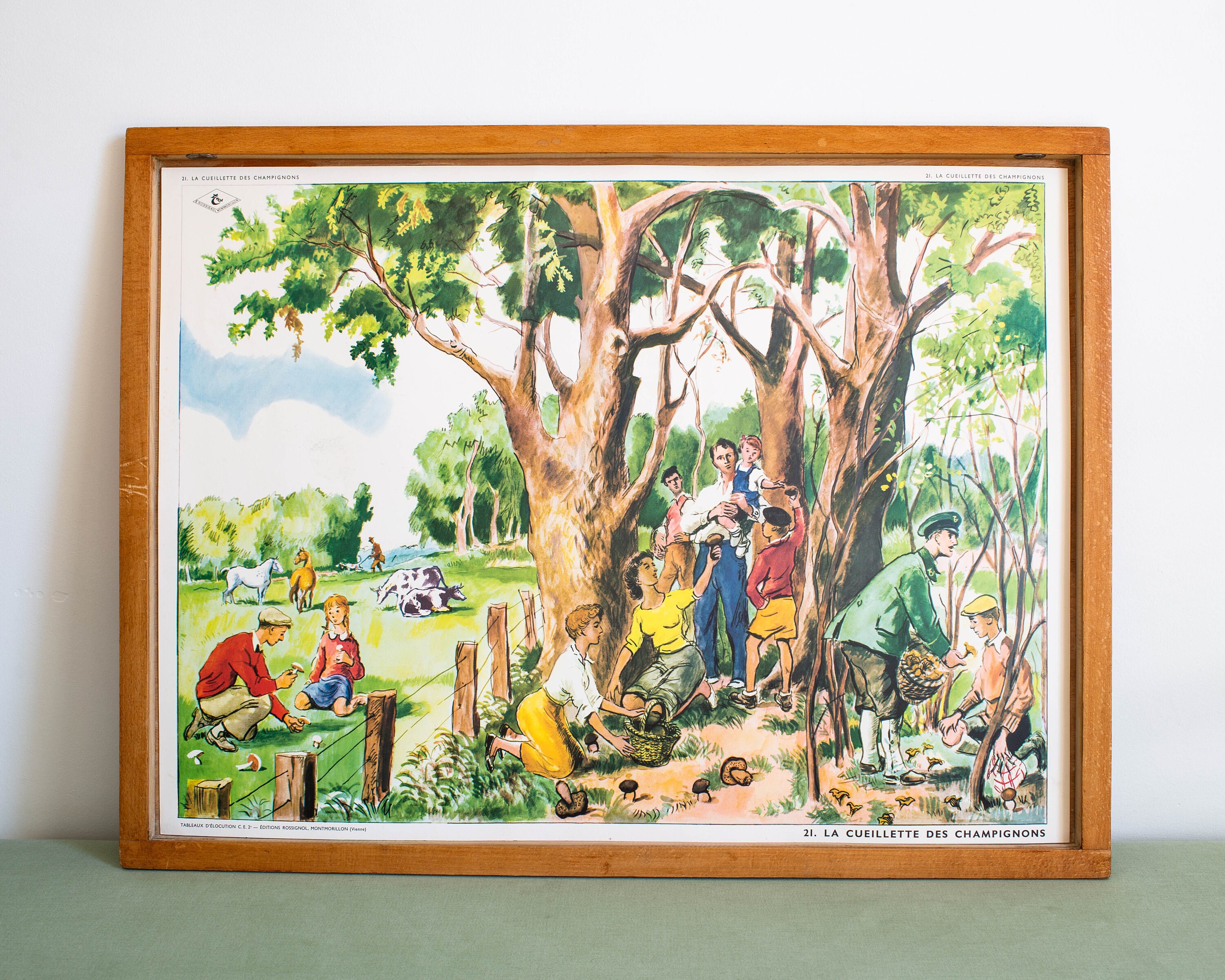 Vintage - Affiche Scolaire Double Face Des Années 1950-60 École Française La Ceuillette Champignons 