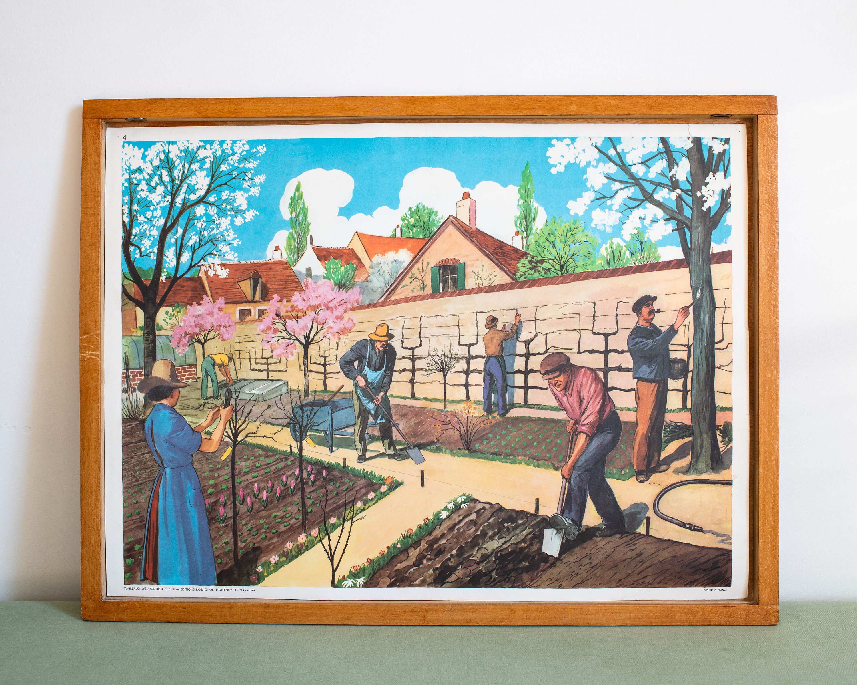 Vintage - Affiche Scolaire Double Face Des Années 1950-60 École Française La Traite Vaches à L'établ