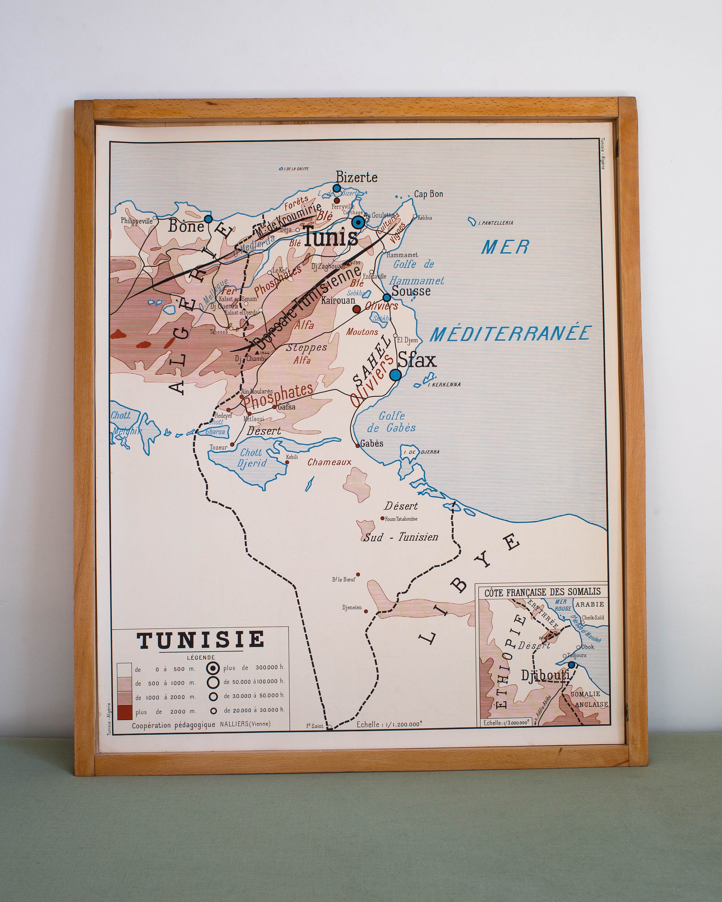 Carte de Géographie - Vintage Affiche Scolaire Double Face d'école Française Des Années 1950-60. Alg