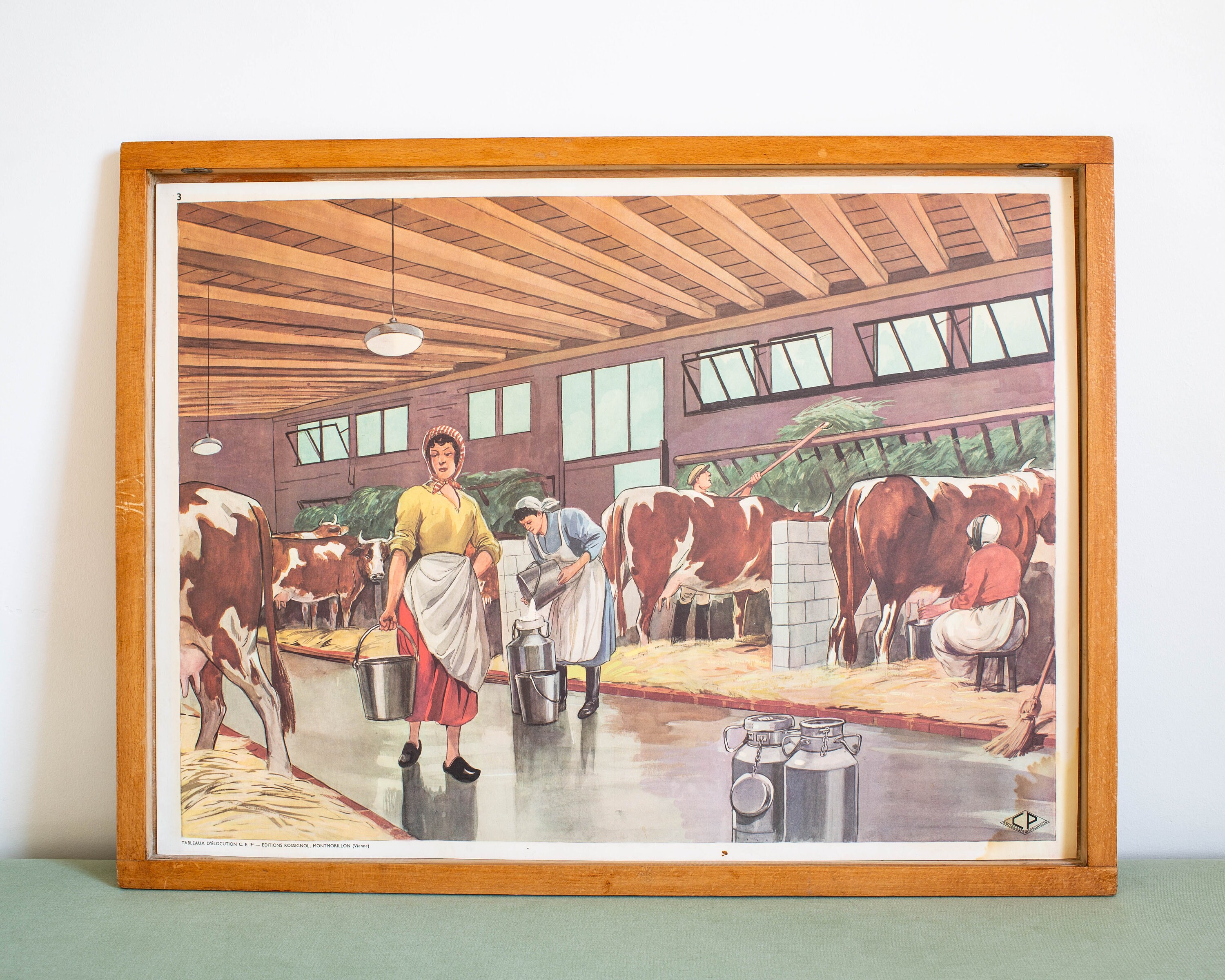 Vintage - Affiche Scolaire Double Face Des Années 1950-60 École Française La Traite Vaches à L'établ