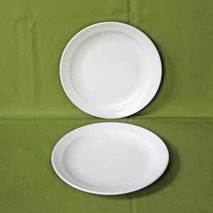 May include: Two white ceramic plates with a ridged design around the inner edge. One plate is round, and the other is oval. The plates are set against a solid green background.