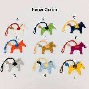 May include: Nine felt horse charms in a range of colours, including white, green, navy, orange, tan, magenta, grey, light blue, and yellow. Each charm has a saddle and a loop for hanging. The text "Horse Charm" is above the charms.