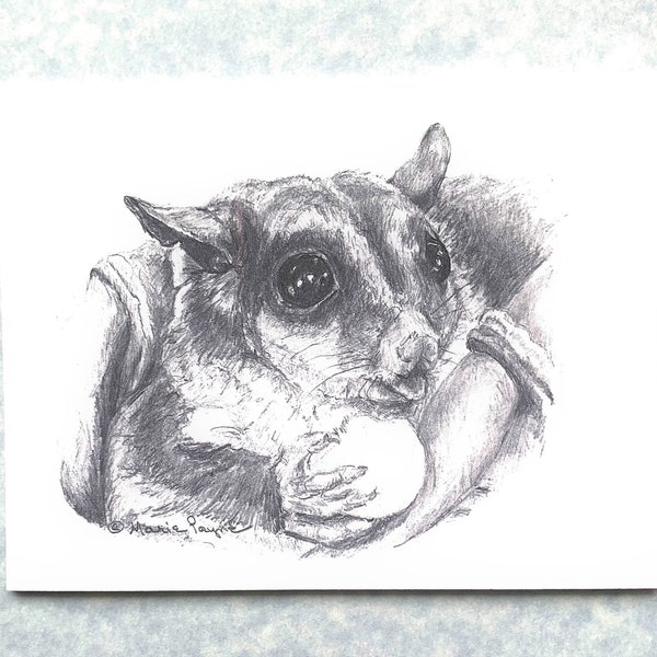 Sugar Glider note cards, set of 6, directly from artist.  Cards are prints of the original artwork.