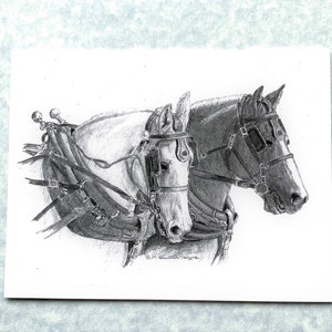 Draft Horses in Harness ready for a pull, fine art note cards, set of 6 with 6 envelopes; direct from artist, prints of my original art