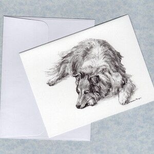 May include: A pencil sketch of a Collie dog resting on a white card. The dog is lying down, with its head lowered. A white envelope is visible in the background. The artwork is detailed and realistic.