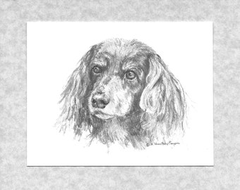 Dachshund, long haired, cards; 6 cards plus envelopes; reprint of my original graphite art; direct from artist