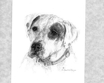 American bulldog note cards, set of 6 with envelopes, direct from artist, prints of my original art