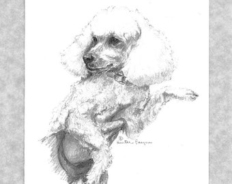 Poodle note cards, set of 6 with envelopes, direct from artist, prnts of my original art