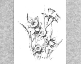 May include: A black and white pencil drawing of a bouquet of daffodils. The drawing is signed "M. Hunter Payne".