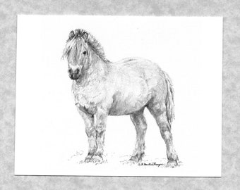 Norwegian Fjord Pony note cards, blank cards; set of 6 plus 6 envelopes; prints 0f my original art work, direct from artist