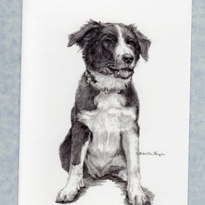 Border Collie puppy note cards, fine art, set of 6 with envelopes; direct from artist, prints from my original art