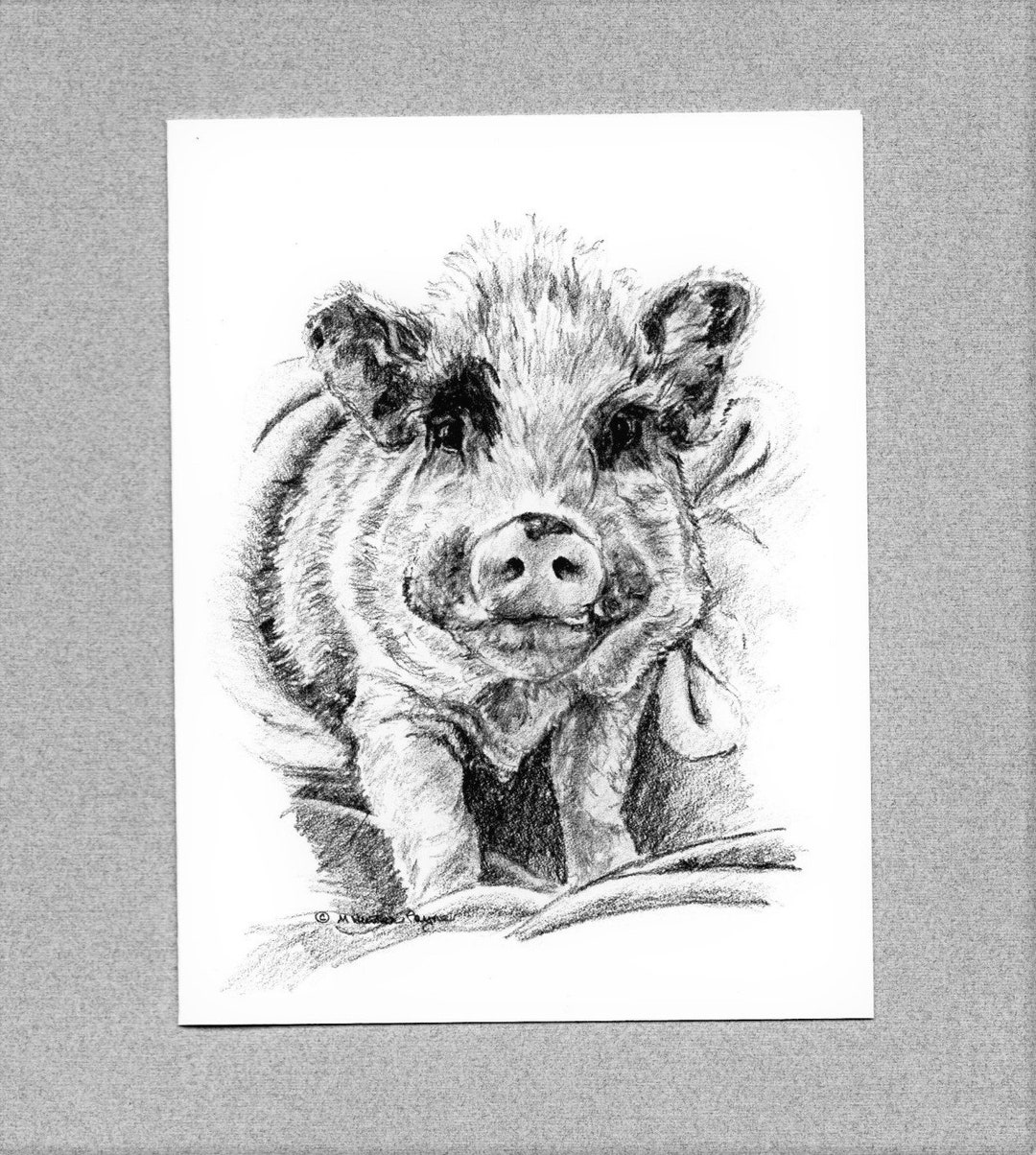 Pig Note Cards; Pig in a Blanket; Blank Cards; Piggy; 6 Cards and ...