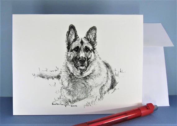 Chien De Berger Allemand Copie De Mon Dessin Au Crayon Original 6 Cartes De Correspondance Avec Enveloppes