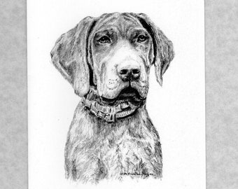 Pointer note cards, German short haired pointer dog note cards; 6 cards & 6 envelopes; direct from artist; reprint of my graphite drawing