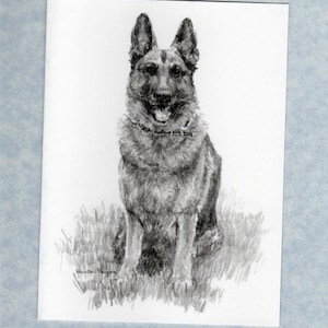 May include: A detailed pencil drawing of a German Shepherd dog sitting in grass. The dog is facing forward with its mouth slightly open. The artwork is on white paper with a light blue border.