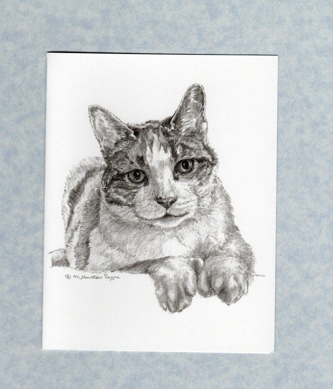 Cat Fine Art Note Cards, Blank Inside, Set of 6, With Envelopes; Direct ...