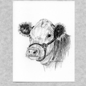 May include: A detailed pencil drawing of a cow's head, showcasing a light-colored face and dark, fluffy ears. The cow wears a halter. The artwork is on white paper, with the artist's signature visible.