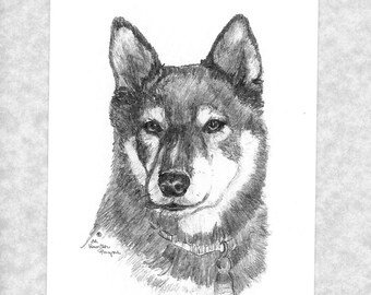 Shiba Inu note cards, 6, with envelopes, prints of my original pencil art, direct from artist