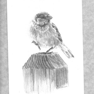 Sparrow dancing on post; sparrow note cards; bird blank cards; 6 cards and envelopes; reprint of my original art; direct from artisst