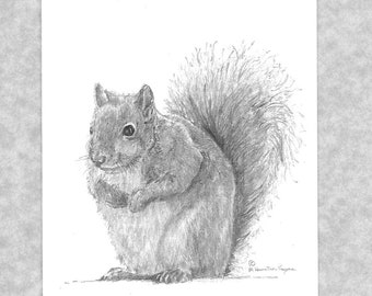 Squirrel note cards, set of six, with envelopes; prints from my original art; direct from artist