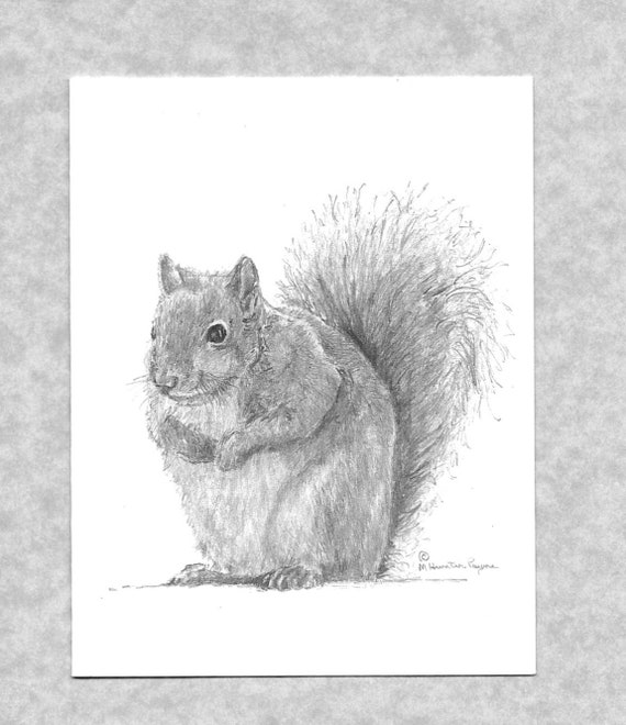 Squirrel Note Card Squirrel Note Card