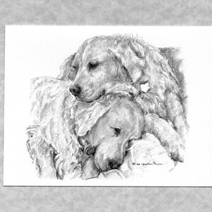 May include: A black and white pencil drawing of two golden retriever dogs cuddling together. The dogs are drawn in a realistic style, with detailed fur and facial expressions.