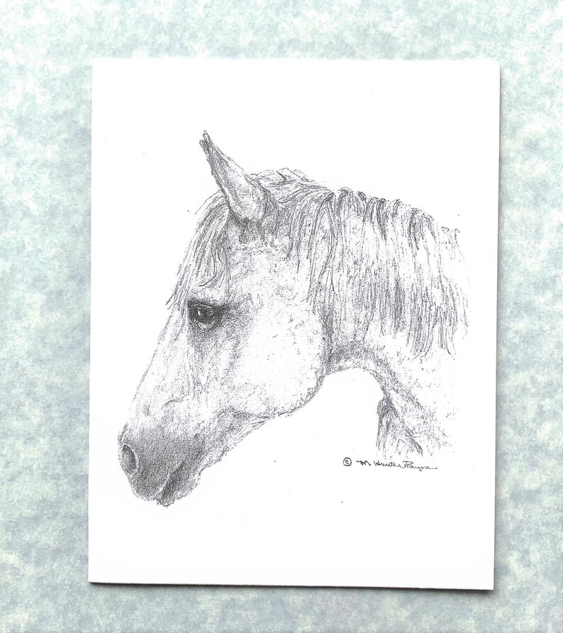 white horse head note cards, set of 6 cards with envelopes direct from artist, prints of my original art afbeelding 1