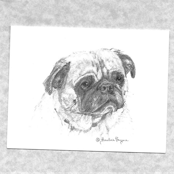 Pug dog note cards, set of 6 with envelopes; prints of my original pencil work, direct from artist